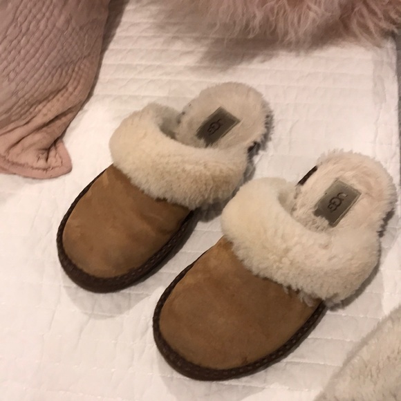 house uggs